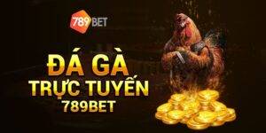 789BET cockfight – Join now and receive instant gifts1