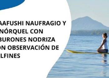 Maafushi Naufragio y Esnórquel con Tiburones Nodriza con Observación de Delfines Una Aventura Inolvidable en las Maldivas
