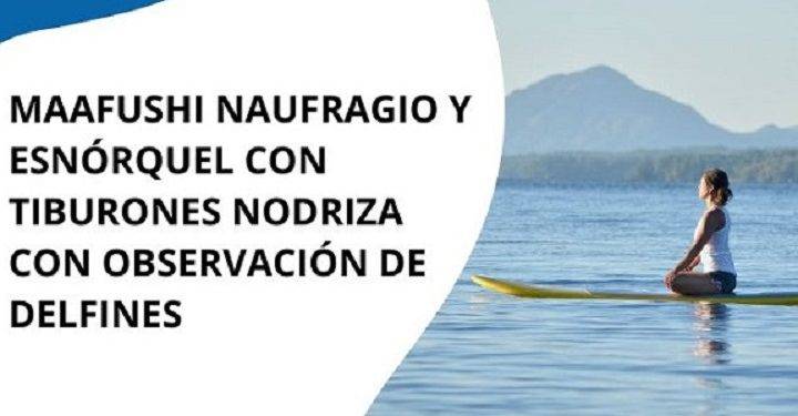 Maafushi Naufragio y Esnórquel con Tiburones Nodriza con Observación de Delfines Una Aventura Inolvidable en las Maldivas