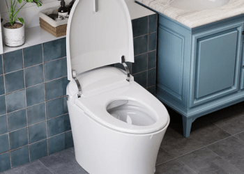 Discover the Horow T10: A Versatile Toilet with Built-In Bidet