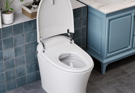 Discover the Horow T10: A Versatile Toilet with Built-In Bidet